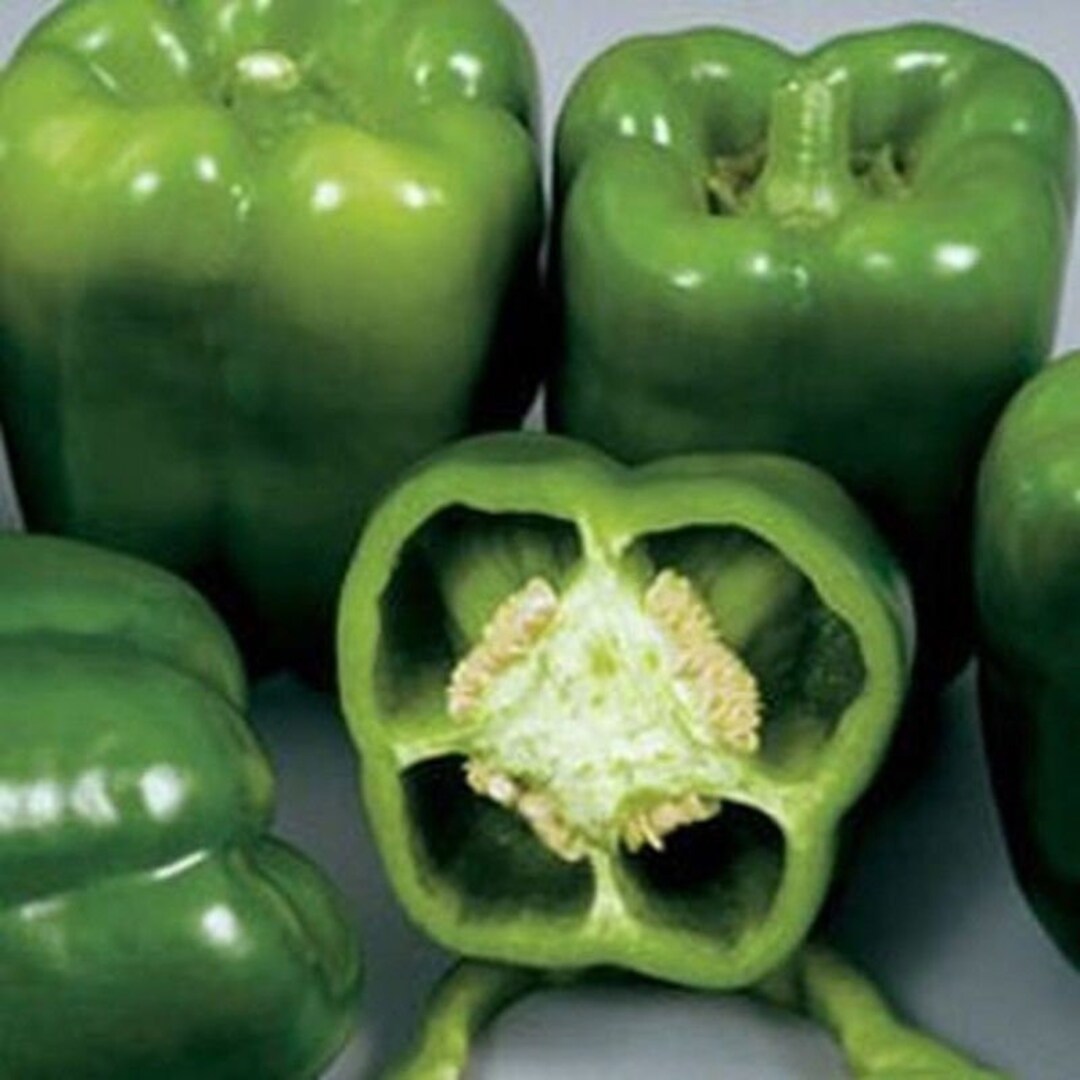 Colossal Hybrid F1 Sweet Bell Pepper Seeds - Etsy