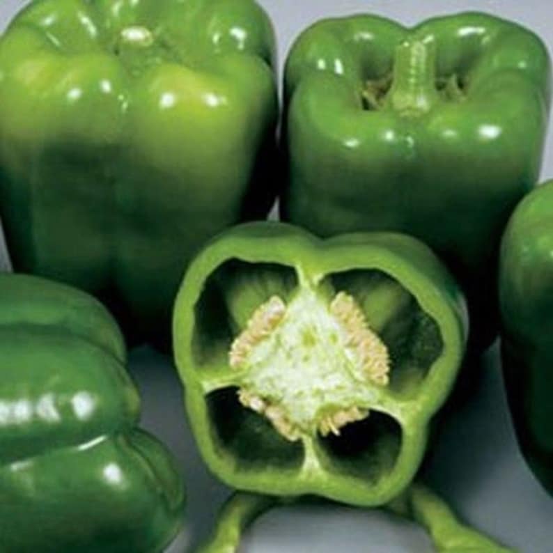 Colossal Bell Colossal Hybrid F1 Sweet Bell Pepper Seeds - Etsy