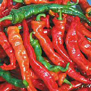 Maule&#39;s Red Hot Peppers Seeds