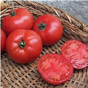 May include: Five red ripe tomatoes in a woven basket. Four whole tomatoes and one sliced in half.