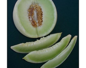 Honey Dew Green Flesh Melon Seeds