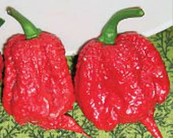 Carolina Reaper Hot Peppers (Red) World&#39;s Hottest Pepper Seeds