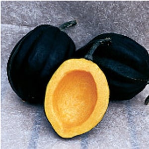 May include: Three acorn squash, one cut open to reveal its bright orange flesh. The squash are dark green with a slightly bumpy texture.
