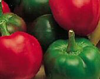 Red Cherry Large Hot Peppers (Type 1) Seeds