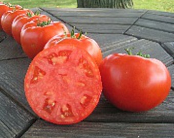 Mountain Merit Tomato Seeds