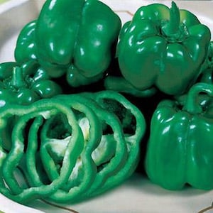 California Wonder 300 Bell Pepper Seeds