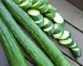 Japanese Long Burpless Cucumber Seeds