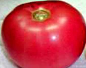 Manapal Tomato Seeds