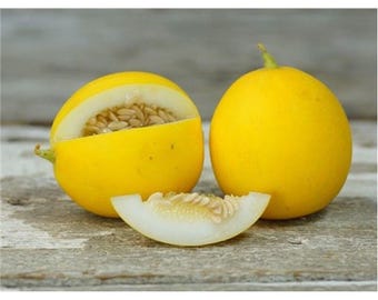 May include: Two yellow melon halves, one with seeds visible, and a slice of melon on a wooden surface.