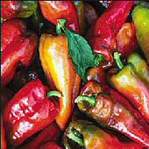 May include: A close-up of a variety of red, orange, and green peppers. The peppers are arranged in a pile, with some overlapping. The peppers are all fresh and have a glossy sheen.