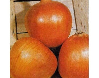 Dorata di Parma Onions Seeds