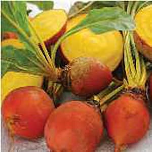 May include: A group of golden and red beets with green leafy tops. The beets are arranged on a white surface.