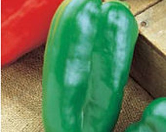 Big Bertha Sweet Peppers Seeds
