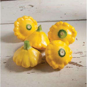 May include: Five yellow patty pan squash with green centers. The squash are arranged on a white wooden surface.