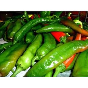 May include: A pile of green and red chili peppers. The peppers are all long and slender, with a pointed tip. Some of the peppers are red, while the rest are green.