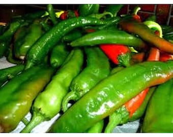 Hatch Chile Pepper (NEW MILD) Seeds
