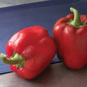 May include: Two bright red bell peppers, one on top of the other, on a blue textured surface.