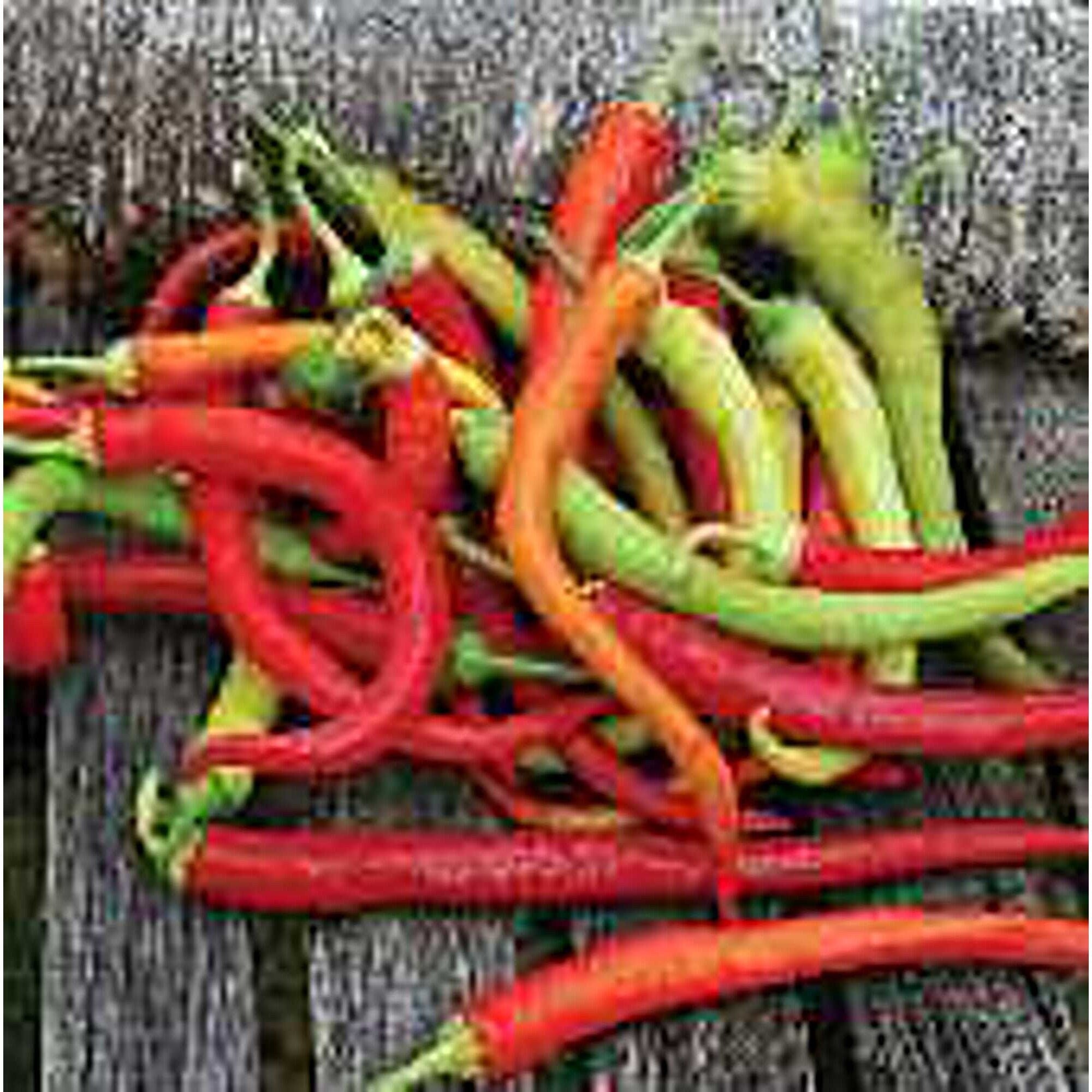 Corbaci Sweet Peppers Seeds