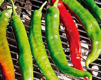 Italian Roaster II F1 Hybrid Hot Pepper Seeds
