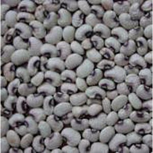 May include: A close-up view of a pile of black-eyed peas. The peas are white with a black spot on each one.