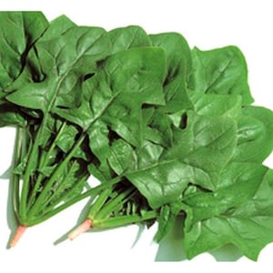 Okame Hybrid Spinach Seeds