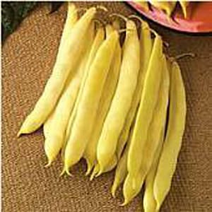 May include: A bunch of yellow string beans, also known as wax beans, are arranged on a brown surface. The beans are long and slender, with a slightly curved shape.