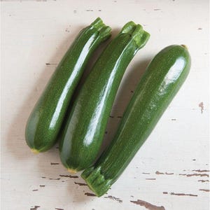 Dunja Organic (F1) Squash Seeds