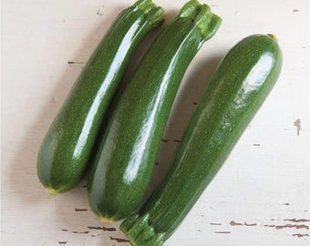 Dunja Organic (F1) Squash Seeds