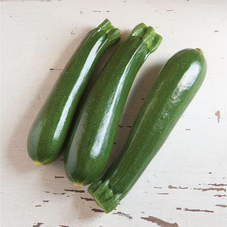 Graines de courge bio Dunja (F1) image 1