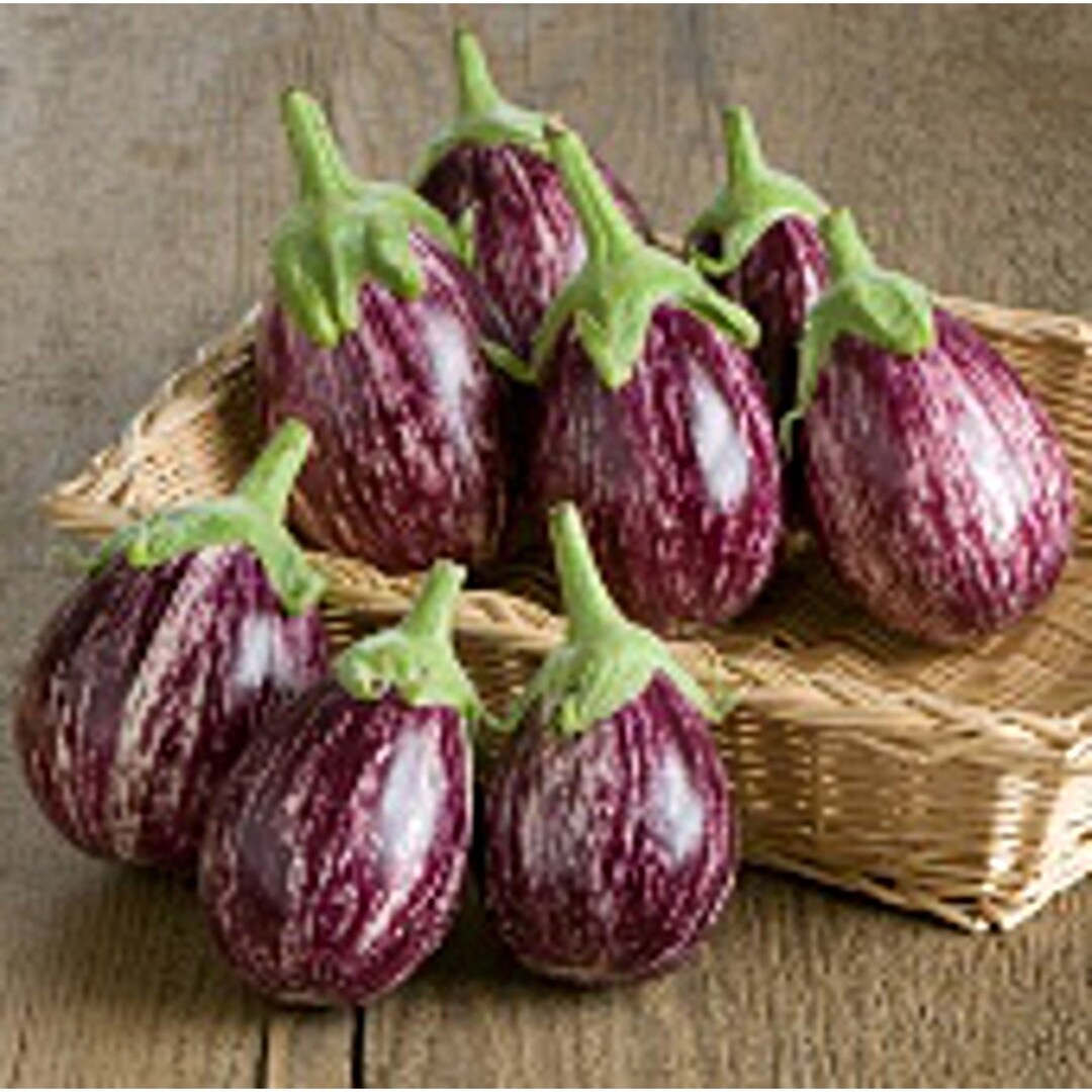 Calliope Eggplants Seeds - Etsy