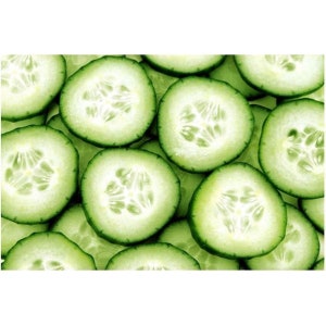 Green Long Cucumber (Indian Sub-Continent) Seeds