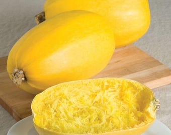 May include: Three whole spaghetti squash, one cut open to reveal the bright yellow, stringy flesh. The squash are a vibrant yellow color.