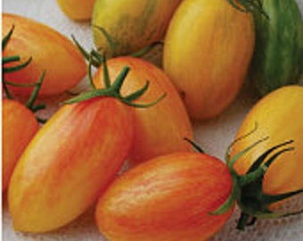 Blush Tomato Seeds