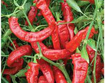 Jimmy Nardello Sweet Peppers Seeds