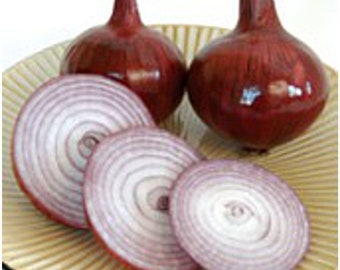 Red Bull Onions Seeds