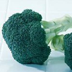 May include: A close-up of two fresh green broccoli florets. The florets are arranged side-by-side, with the larger floret in the foreground and the smaller floret in the background.