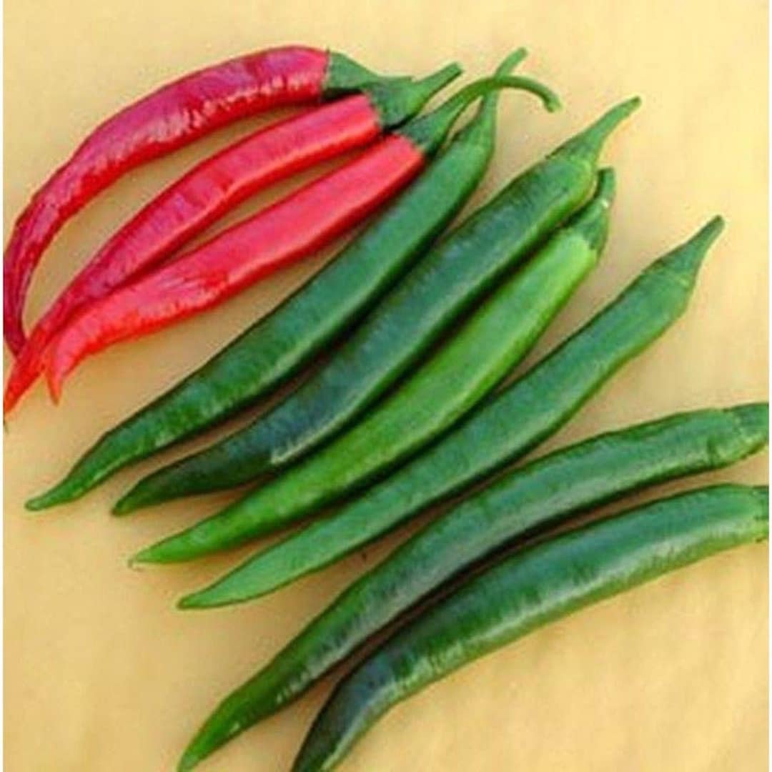 Goat's Horn Hot Pepper Seeds - Etsy