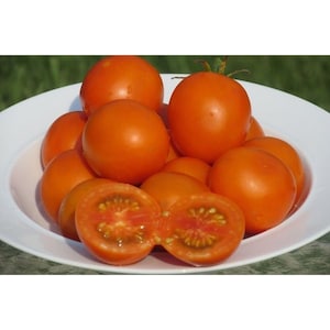 May include: A bowl of bright orange tomatoes, some of which are cut in half, revealing the red flesh and seeds inside.
