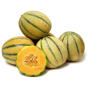 Tuscan Cantaloupe Seeds