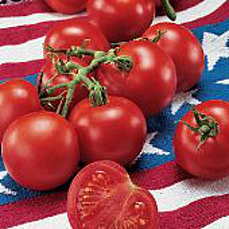 July Home Page - Etsy
