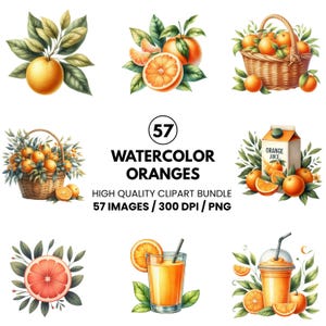 Watercolor Orange Clipart- Fruit Clipart- Orange PNG Bundle- Watercolor Citrus Wreath- Orange Flowers- Commercial Use