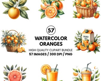 Watercolor Orange Clipart- Fruit Clipart- Orange PNG Bundle- Watercolor Citrus Wreath- Orange Flowers- Commercial Use