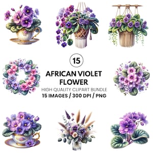 African Violet Flower Clipart- High Quality PNGs- African Violet Clipart- Violet Flowers Clipart- Ornamental Plants Clipart- Junk Journal