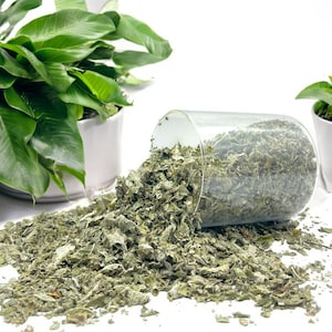 Mentha Suaveolens Marokkanische Mentha Suaveolens (Apfelminze) - Handverlesene getrocknete Minze für Tees & Kulinarisches