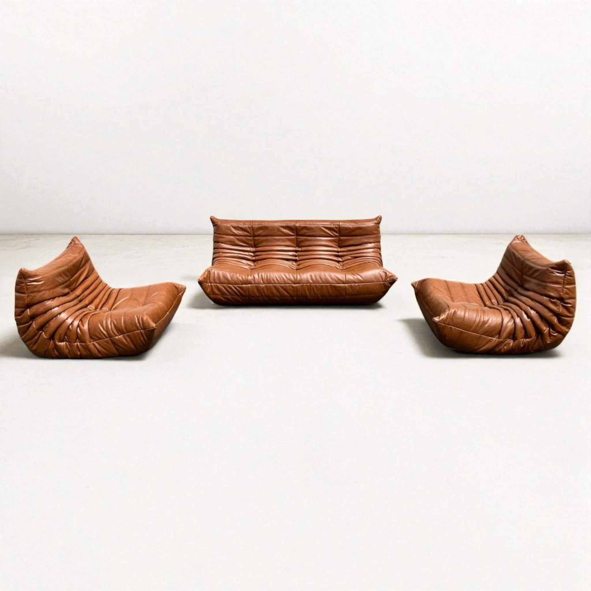 ligne roset TOGO　リーンロゼ トーゴ 　「希少ヴィンテージ」 ロゼトーゴ | ソファ | 取扱製品 | ligne roset | リーン・ロゼ