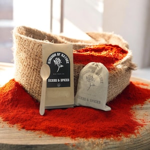 Authentisches marokkanisches Paprikapulver Getrocknete Paprika mit rauchigem Geschmack für Gourmet-Kochen und traditionelle Rezepte