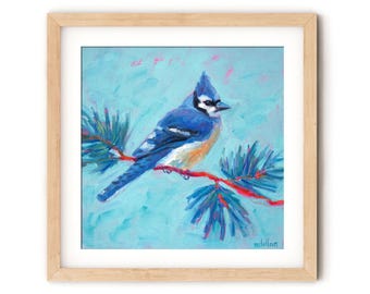 Blue Jay Giclee Art Print: Bird Wall Decor, McLellan Art