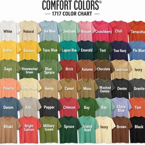 Comfort Colors Minnie Mouse T-Shirt, Disney Minnie Shirt, Minnie Checkered Shirt, Disney Gift Shirts, Disney Shirts Adults, Minnie Shirt image 8