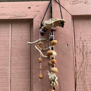 May include: A rustic hanging mobile crafted from natural elements. It features a piece of driftwood, small branches, and various nuts and seed pods strung together with twine. The mobile hangs from a black cord against a weathered, pinkish-brown wooden door.