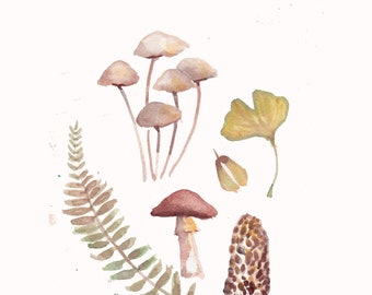 neutral mushrooms,  toastool, artwork,l, autumn fox, autumn time, fall weather, fall decor, fall fox, floral fox, fox art, fox gift,